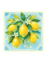 [Blue Lemon] SilkSilky Scarf 001