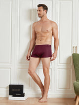 [Wine] SilkSilky  100% Silk Jersey Men's Underwear 006