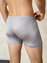 [Gray] SilkSilky  Men's Underwear 002