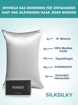 [Silver] SilkSilky  19Momme Pure Silk Pillowcase 002